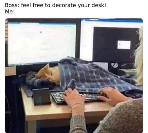 Feel free to decorate