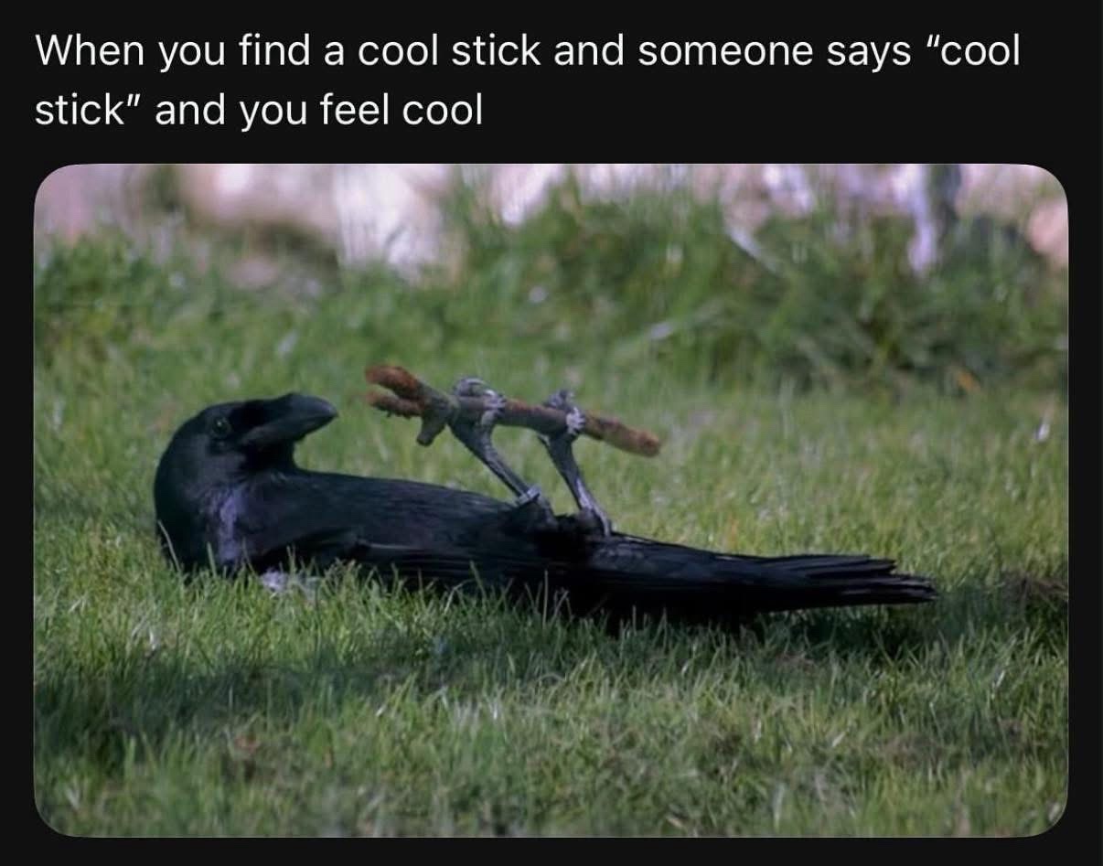 Find a cool stick