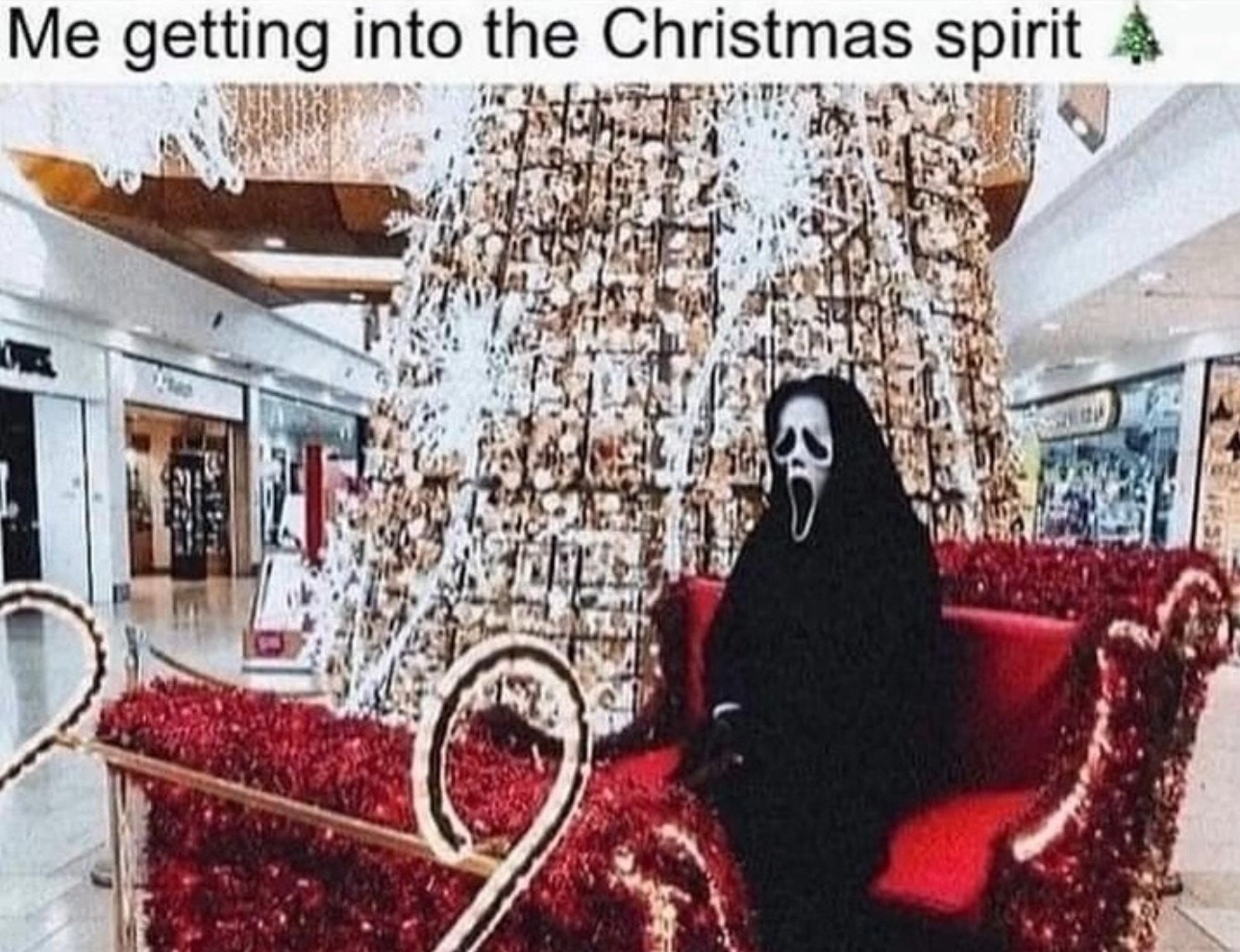 20 Memes So Illogical You’ll Laugh Before You Think 6 Getting into christmas spirit
