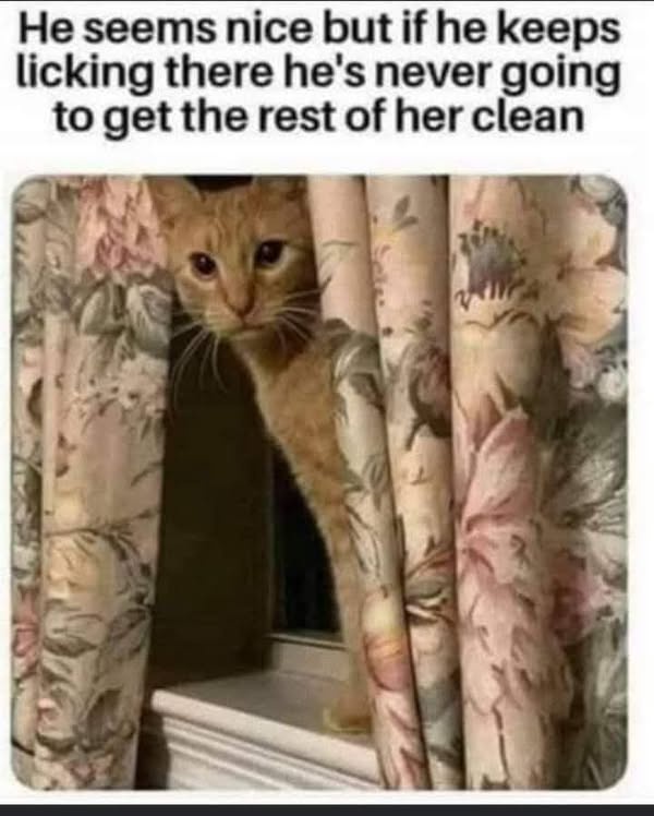 20 Memes That Are Pure…ly Inappropriate 8 He seems nice