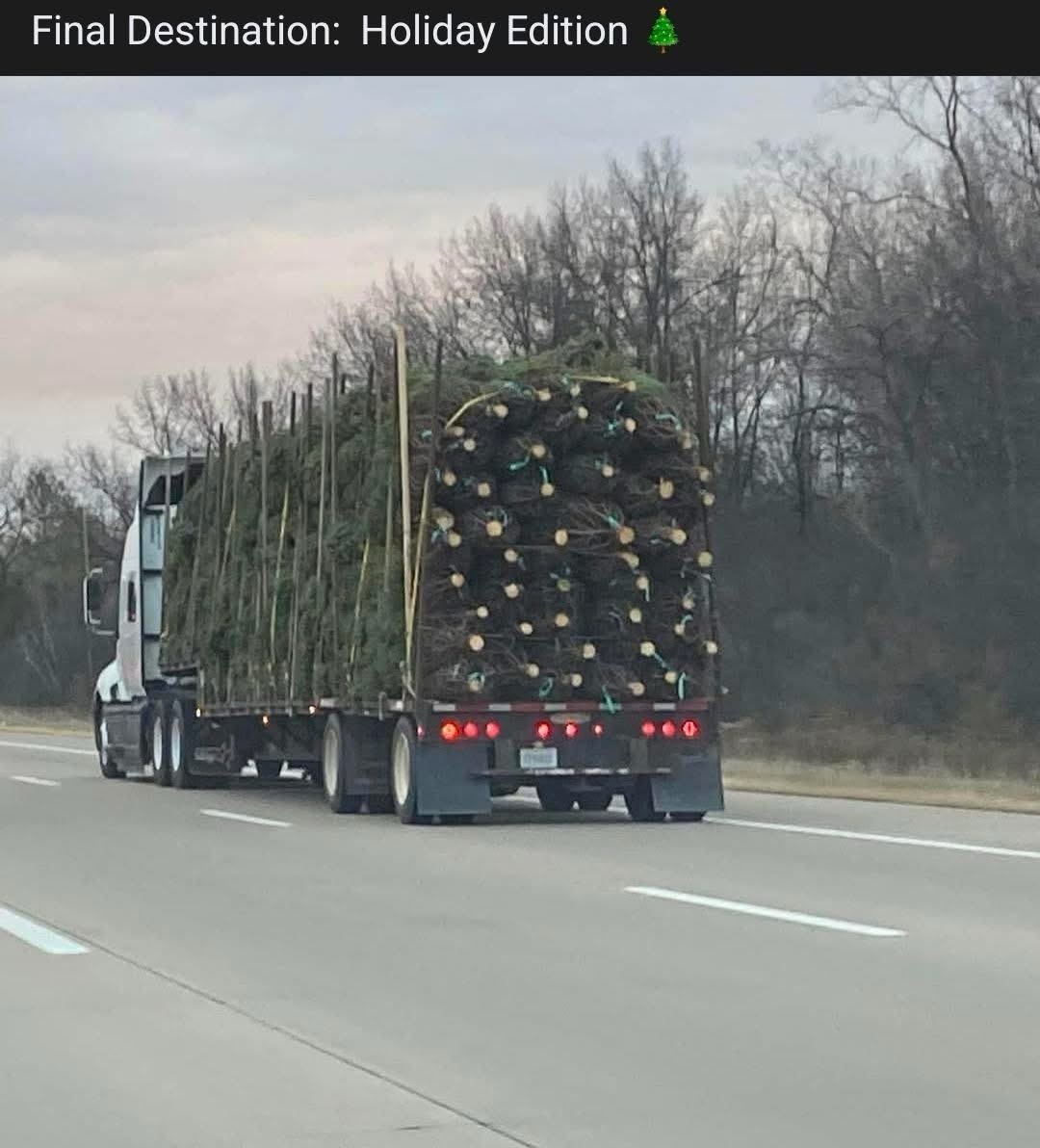 20 Memes That Are Basically a Buffet of Confusion and Laughter 4 Holiday edition