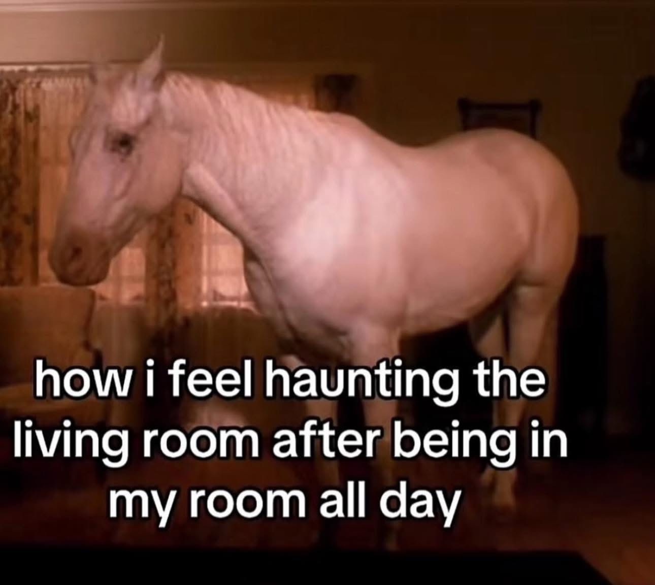 20 Damn Funny Memes That Made Common Sense Pack Its Bags 10 How I feel