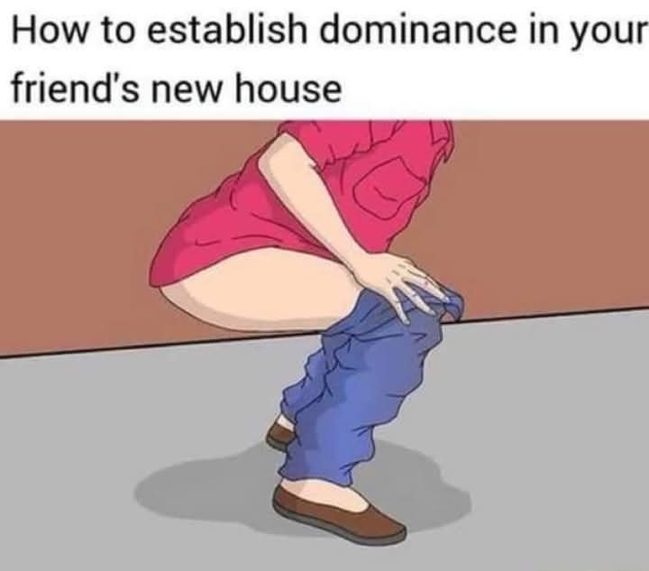 20 Memes Your Brain Will Try to Return but No Refunds Allowed 12 How to establish dominance