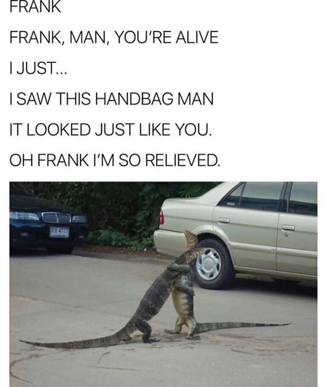 20 Memes That Have No Chill and Even Less Logic 7 I saw this handbag