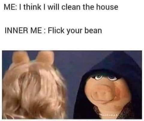I will clean the house