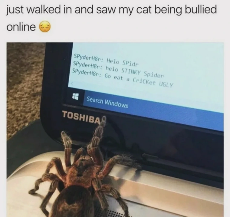 20 Memes Your Brain Will Try to Return but No Refunds Allowed 13 Just walked in