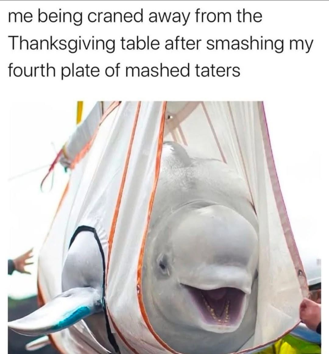 20 Memes That Are Basically a Buffet of Confusion and Laughter 8 Me being craened away