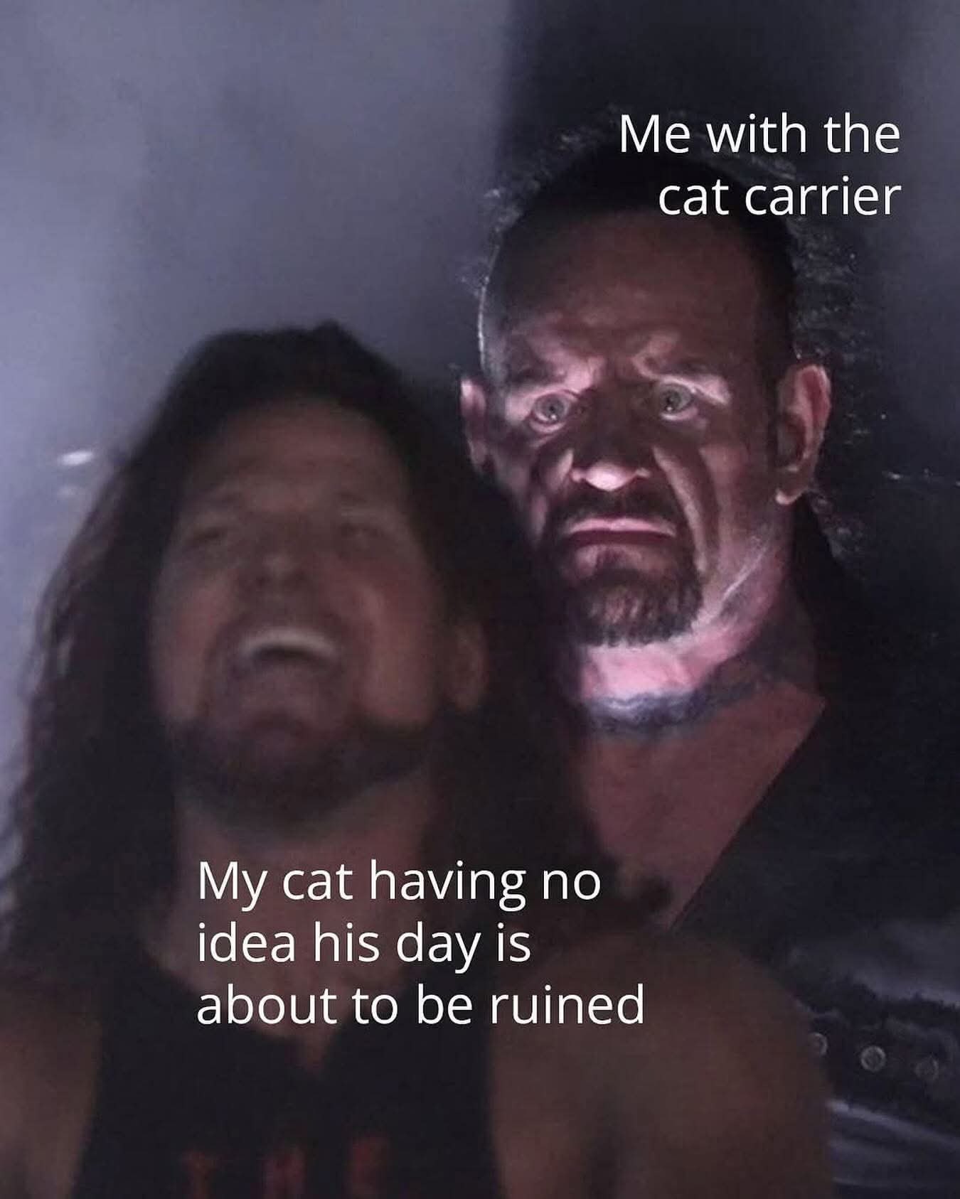 Me with the cat carrier