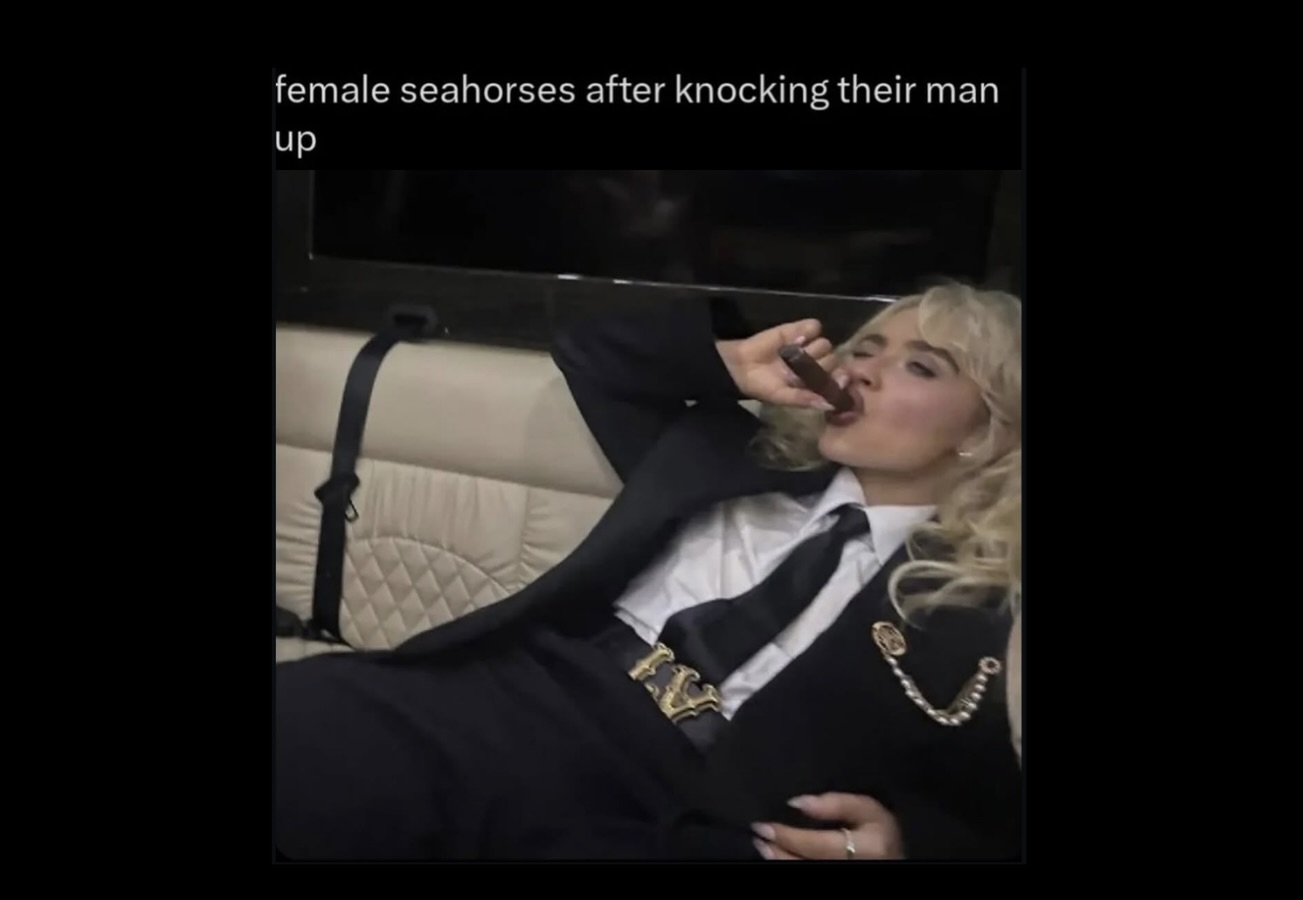 Memes For Those Who Like Their Memes with a Hint of Mischief FG