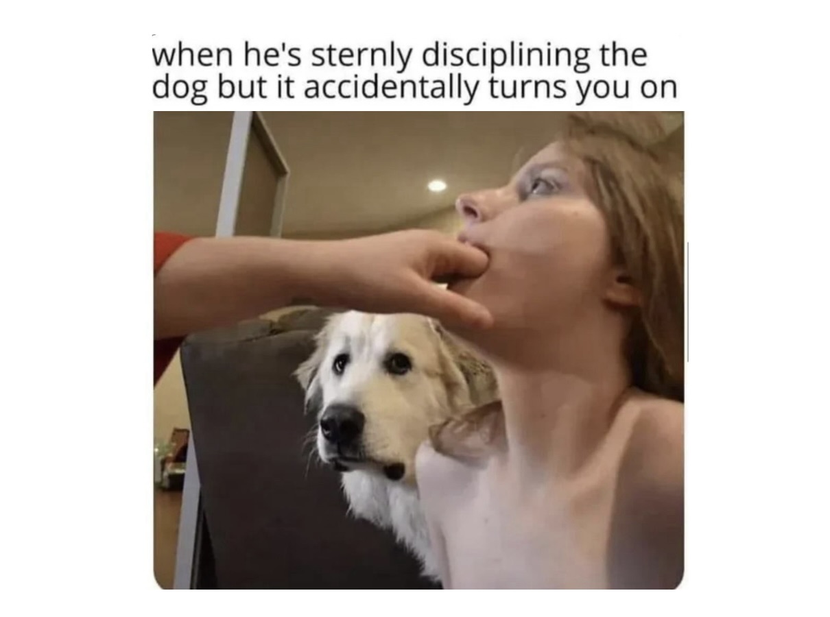 Memes That Are Basically a Buffet of Confusion and Laughter - FG.jpeg