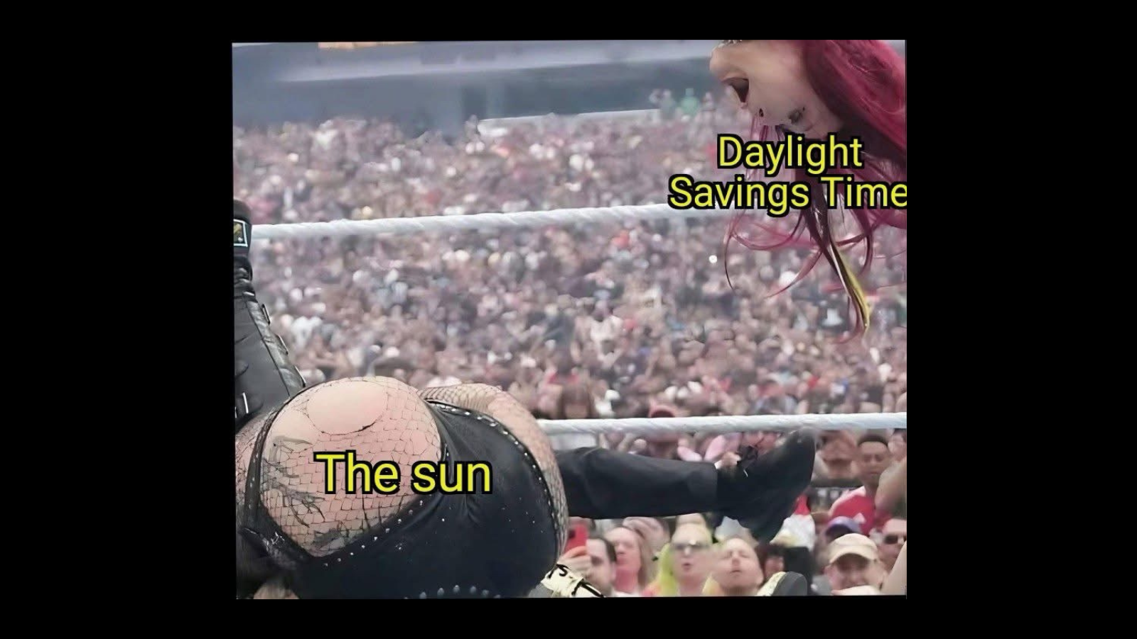 Memes That Are a Little Nuts and a Lot Hilarious - FG.png