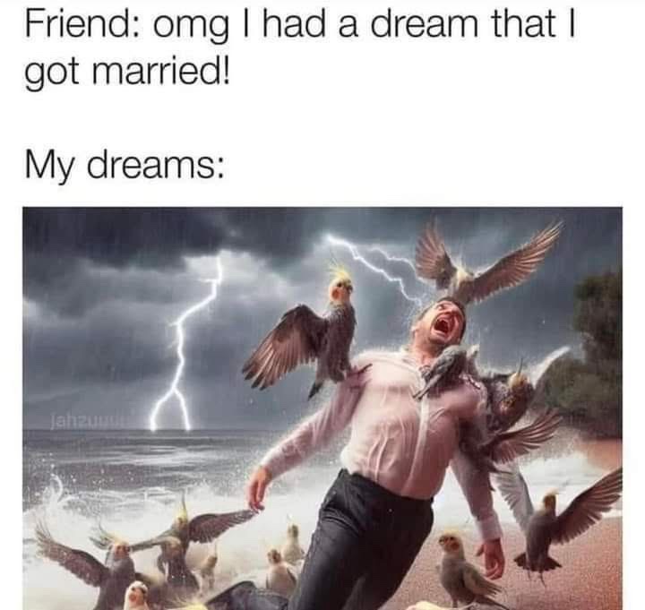 My dreams