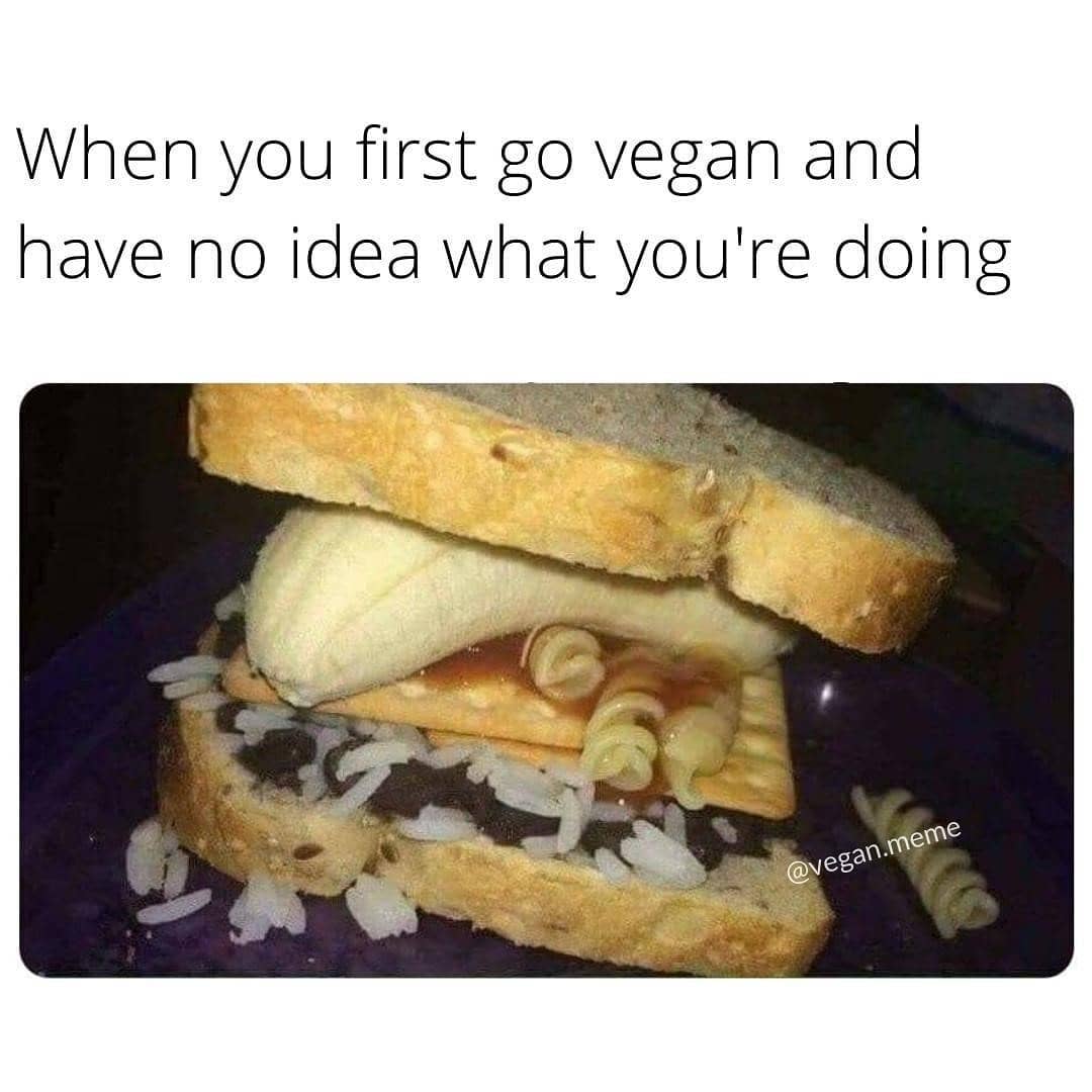45 Vegan Memes That Will Have Non Vegans Saying, 'Don't Kale My Vibe! 45 No idea