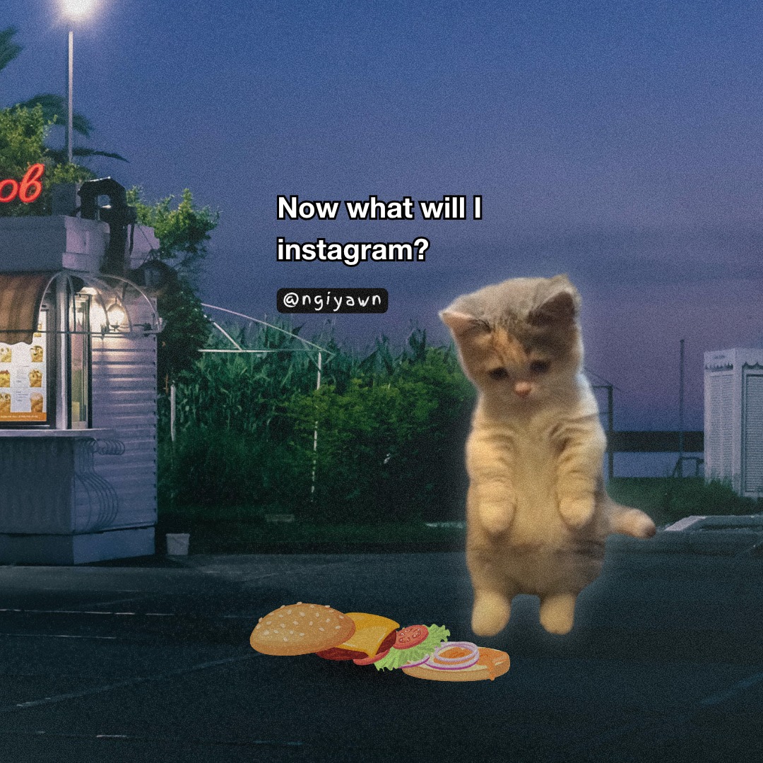 Now what will I instagram