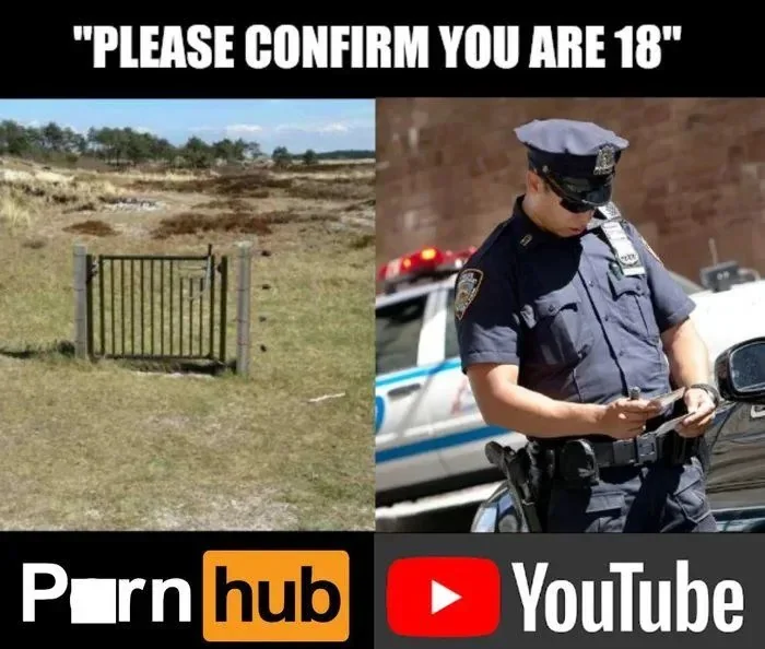 34 Adult Humor Memes That Are Definitely Not Kid-Friendly 34 Please confirm