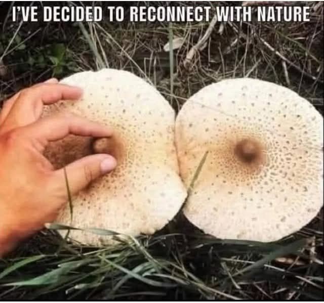 Reconnect with natur