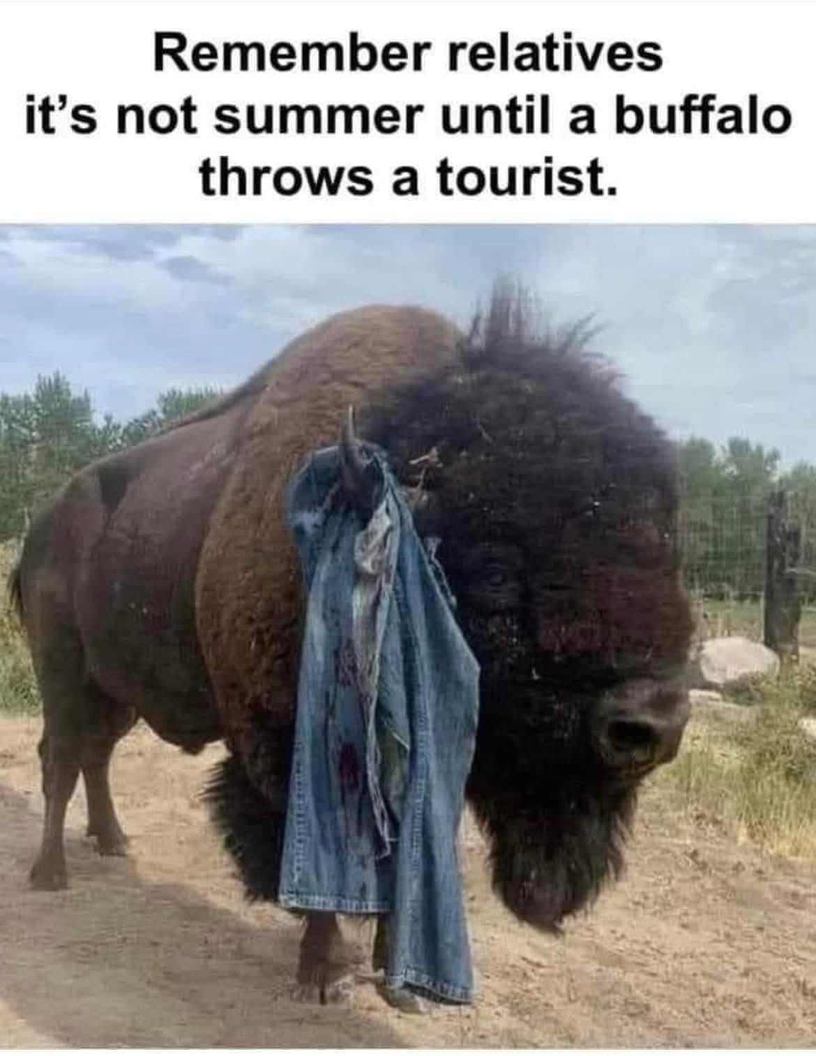 25 Animal Memes That Don’t Care About Your Rules or Feelings (And You’ll Love Them for It) 27 Remember relatives