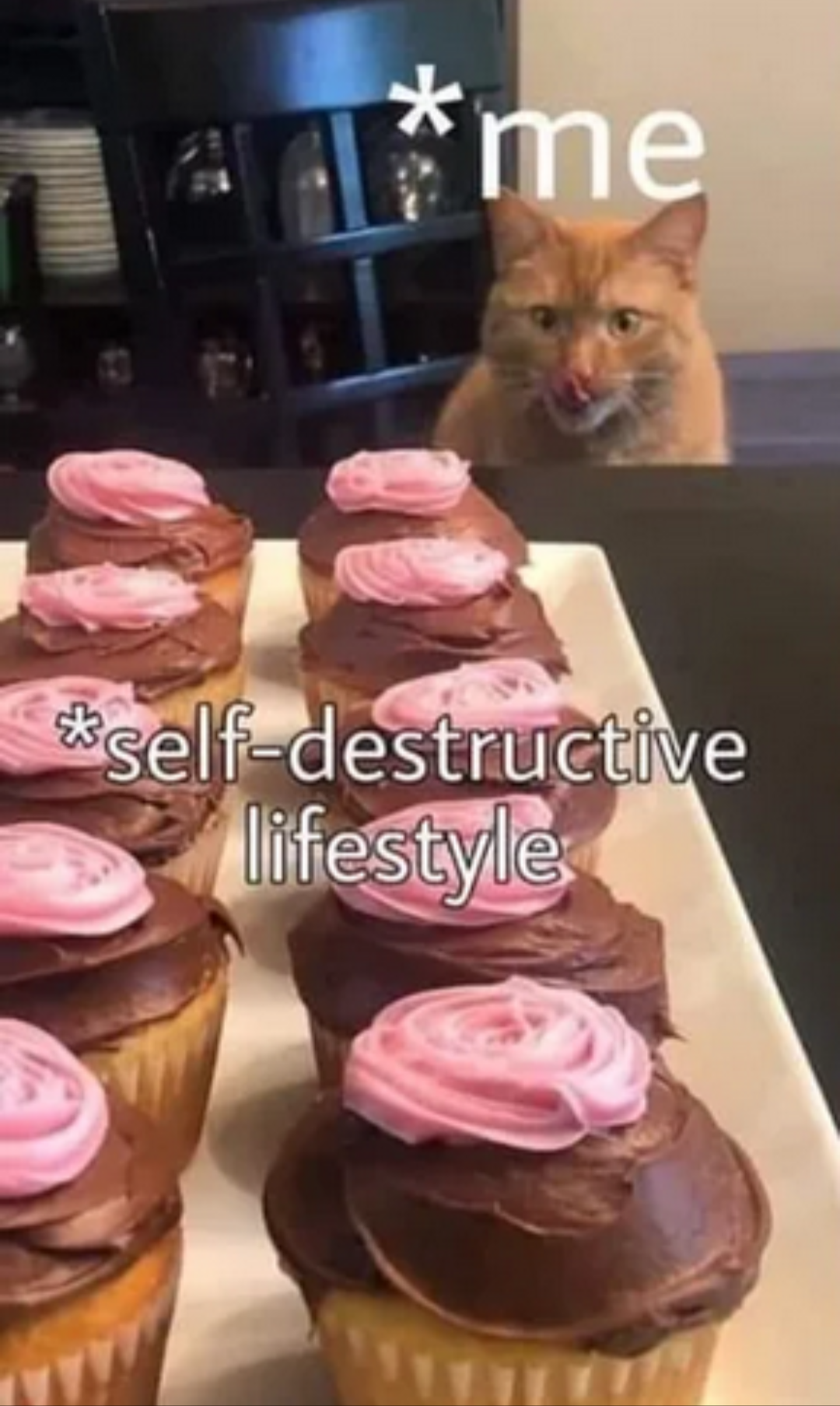 Self destructive lifestyle