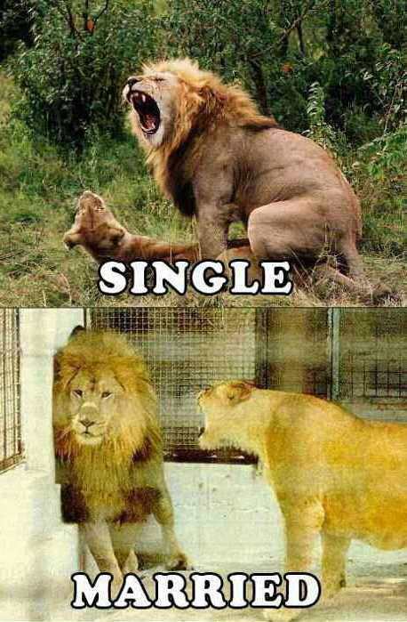 44 Married Memes That Reveal Hidden Secrets Of Married Life 46 Single vs married