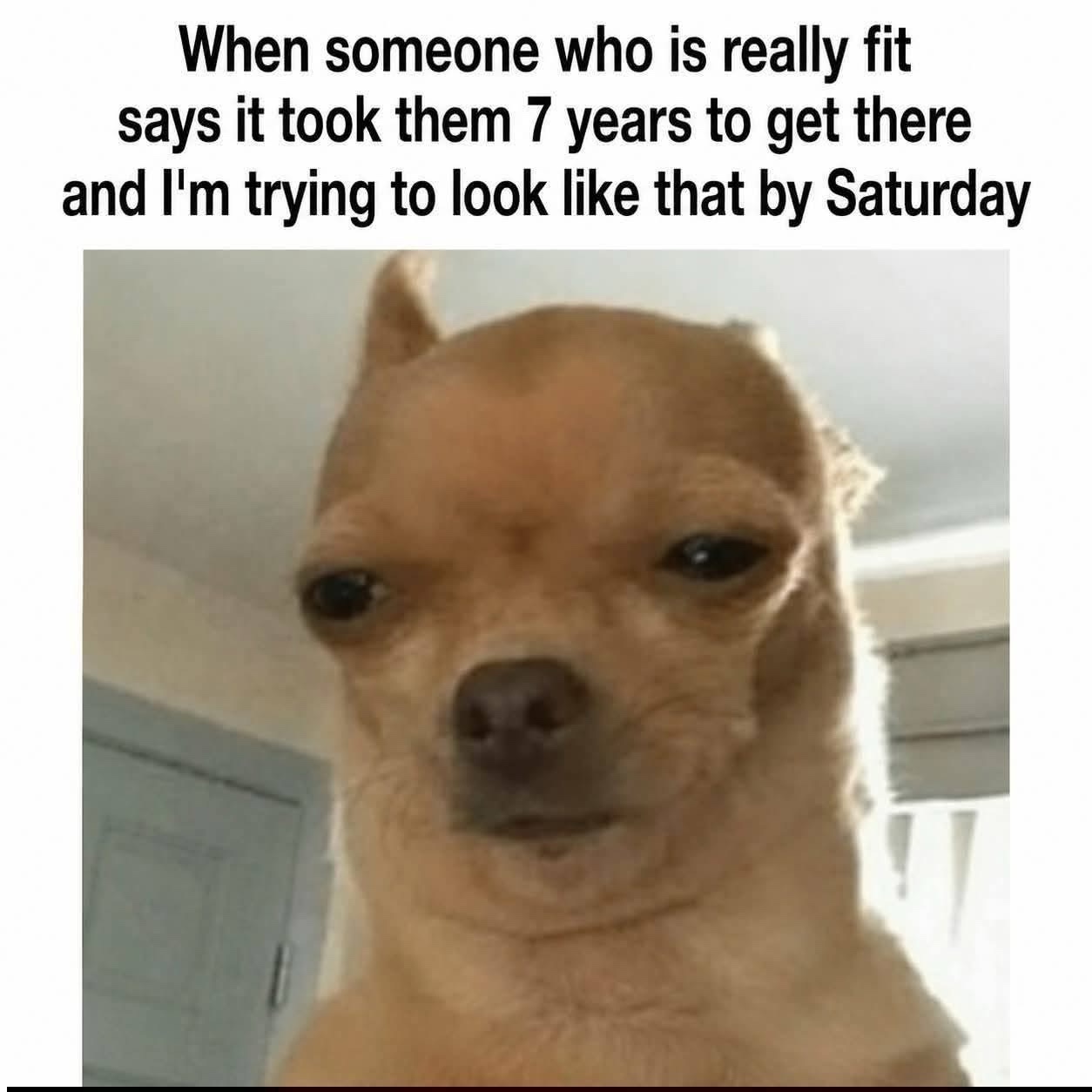 25 Memes Your Brain Will Beg You Not to Look At (But You Still Will) 26 Someone who is really fit
