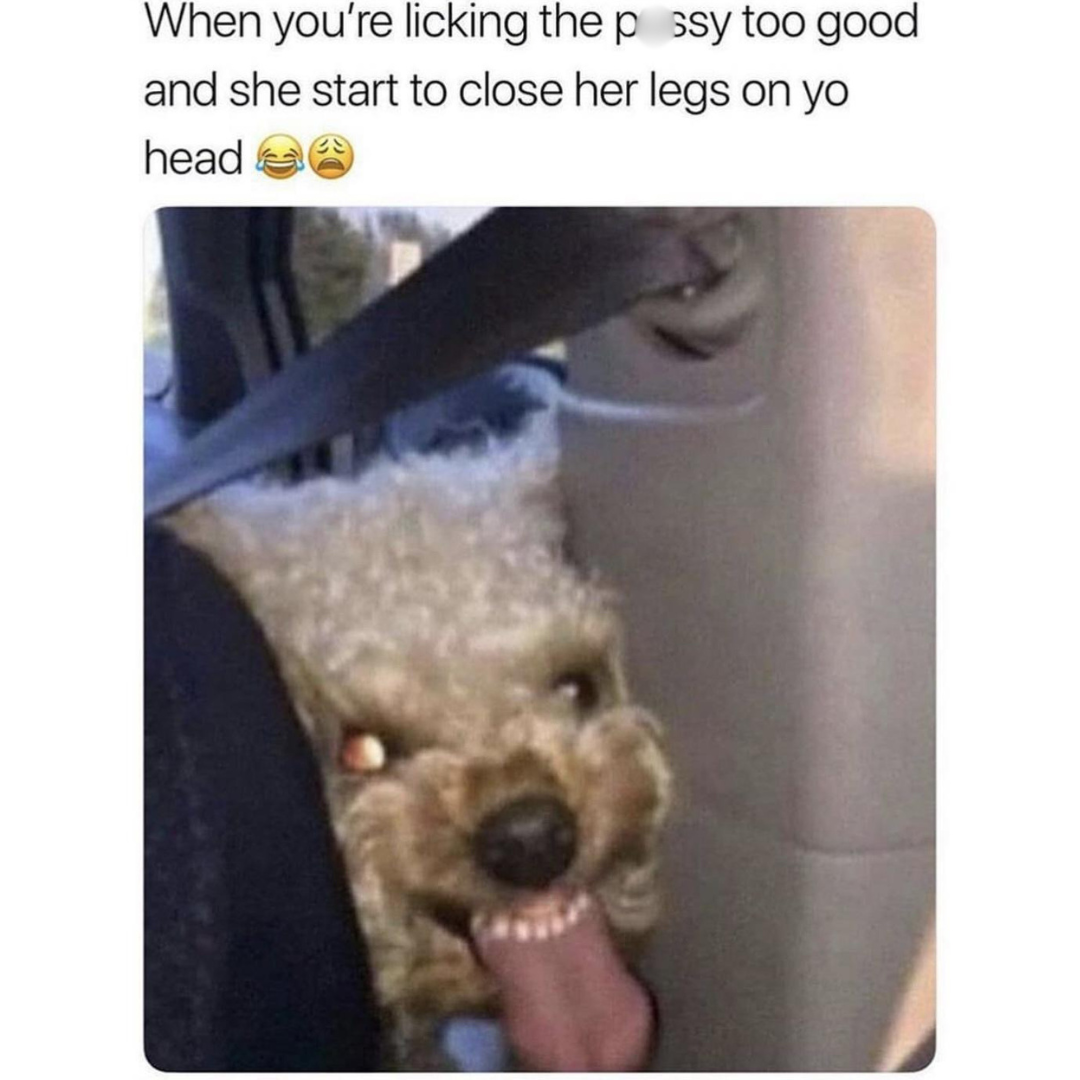 25 Suggestive Memes That Will Ruin Your Innocence in One Scroll 23 Start to close
