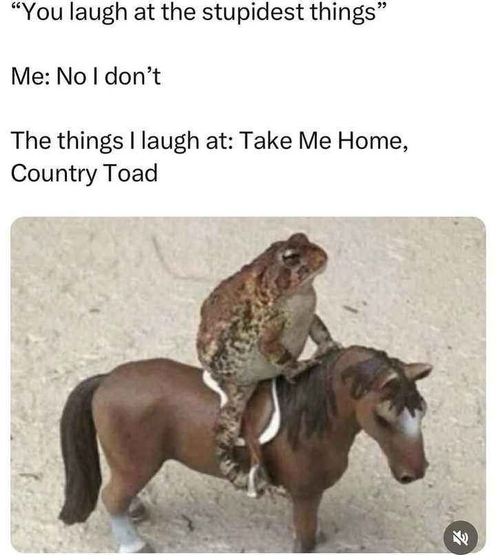 20 Memes That Have No Chill and Even Less Logic 13 Take me home country toad