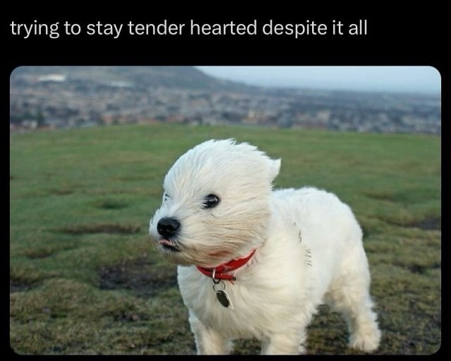 Tender hearted