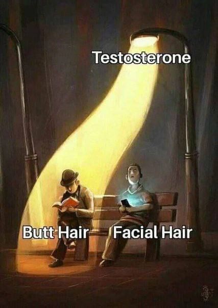 Testosterone