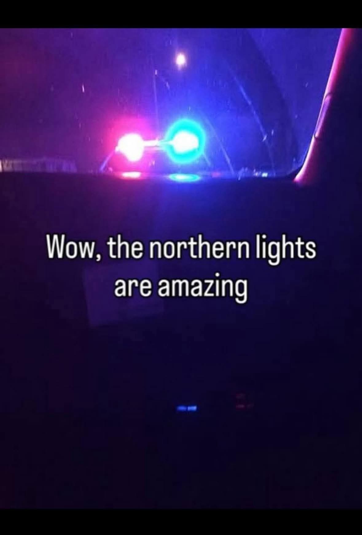 20 Memes That Are Basically a Buffet of Confusion and Laughter 16 The northern lights