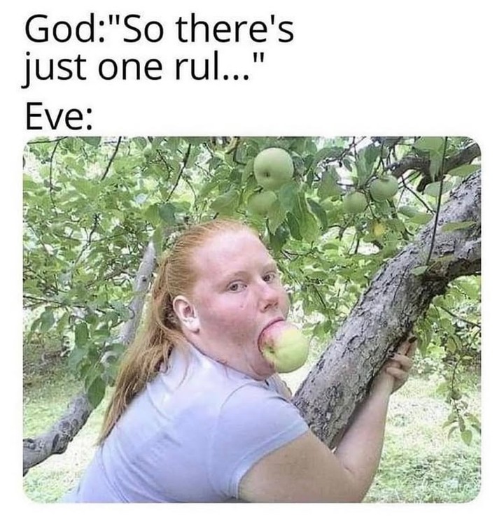 20 Memes That Have No Chill and Even Less Logic 15 Theres one rule