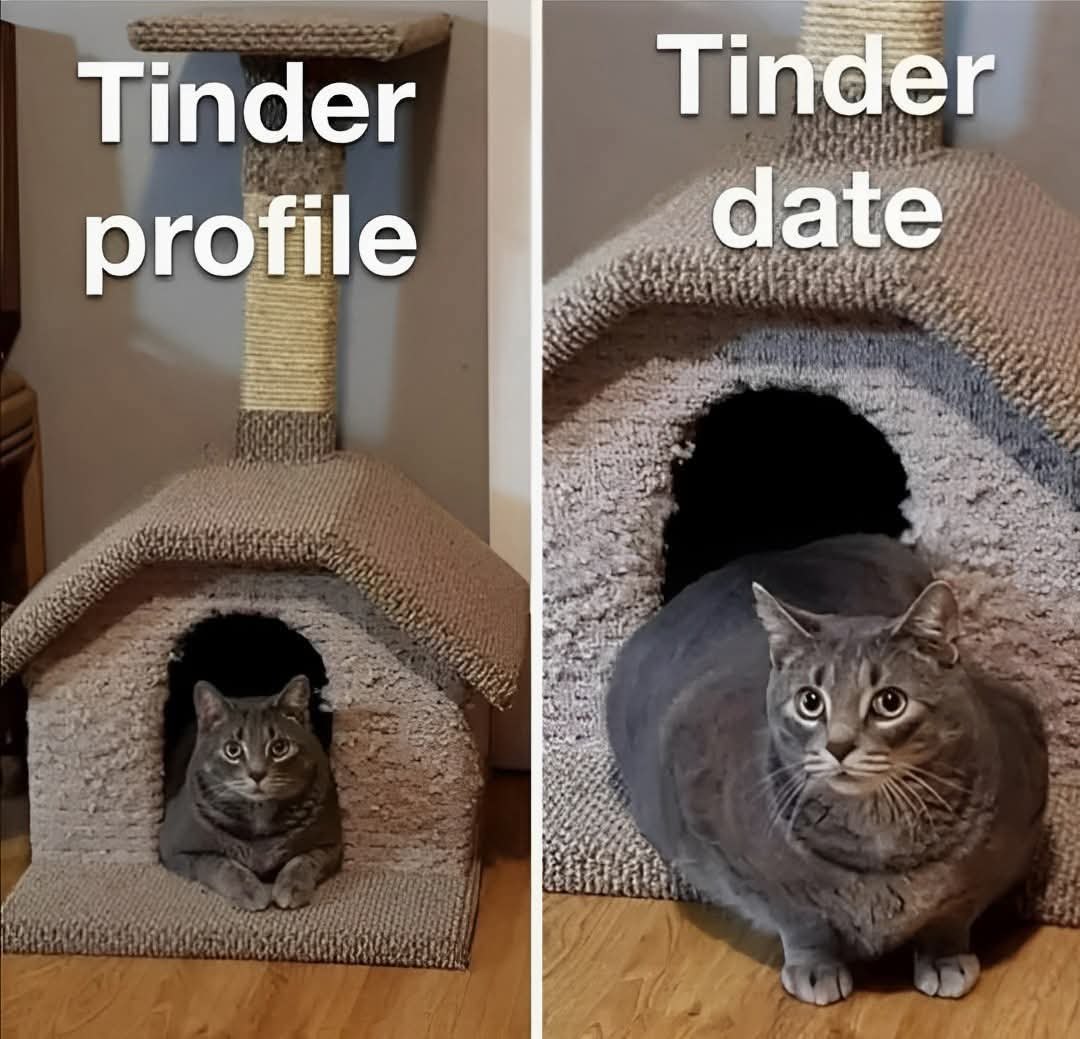 Tinder profile vs tinder date