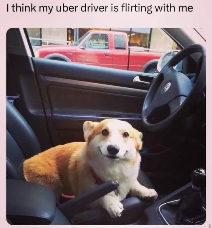 Uber driver is flirting