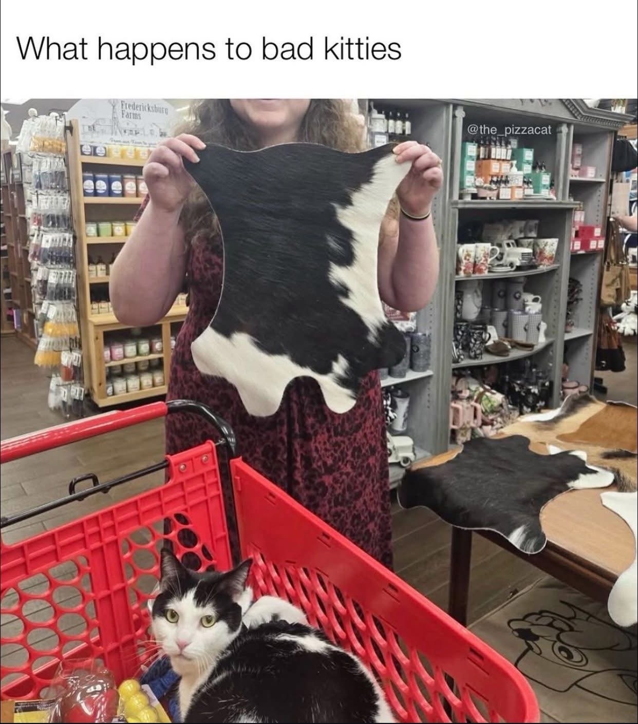 WHat happens to bad kittes