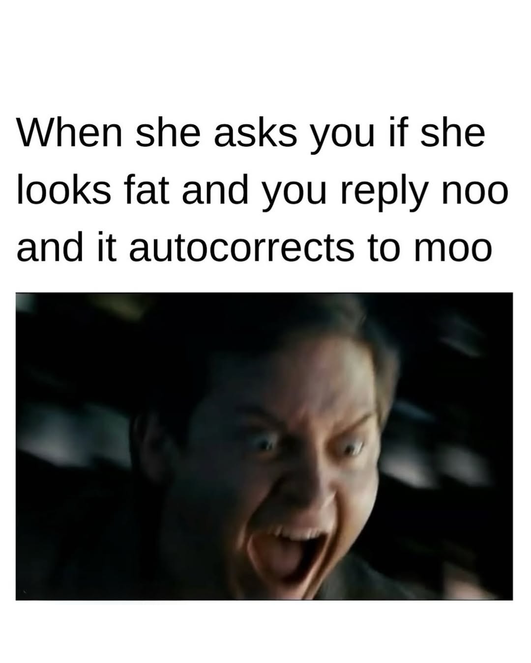 20 Memes That Have No Chill and Even Less Logic 20 When she asks you