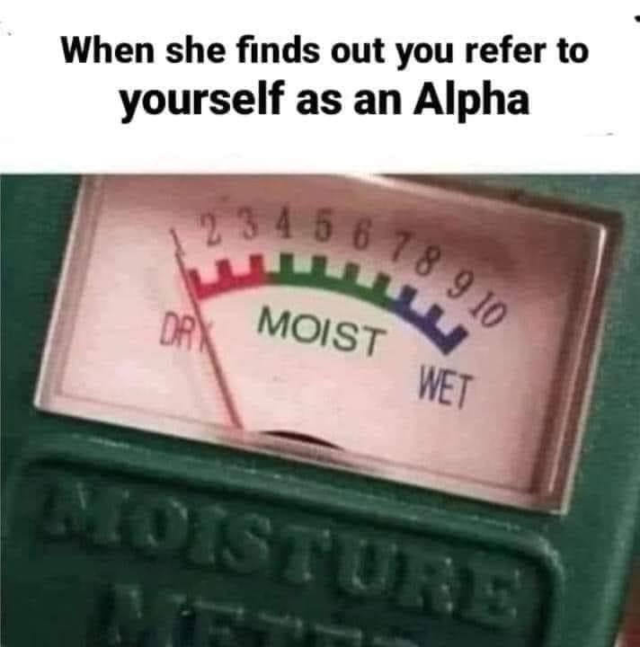 20 Memes Your Brain Will Try to Return but No Refunds Allowed 19 When she finds out