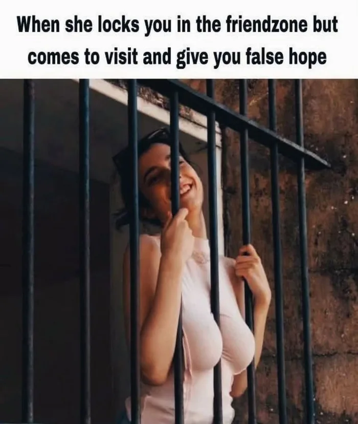 40 Friend Zoned Memes: How to Laugh at Your Romantic Misfortunes 42 When she locks you in
