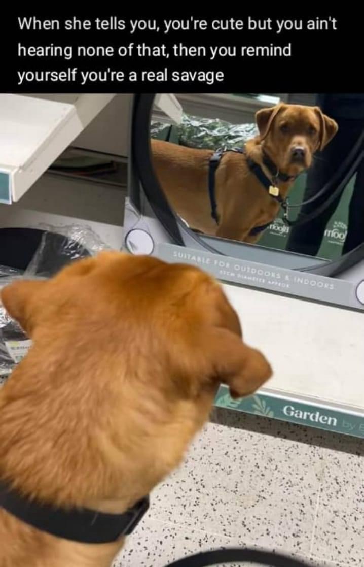 When she tells you youre cute