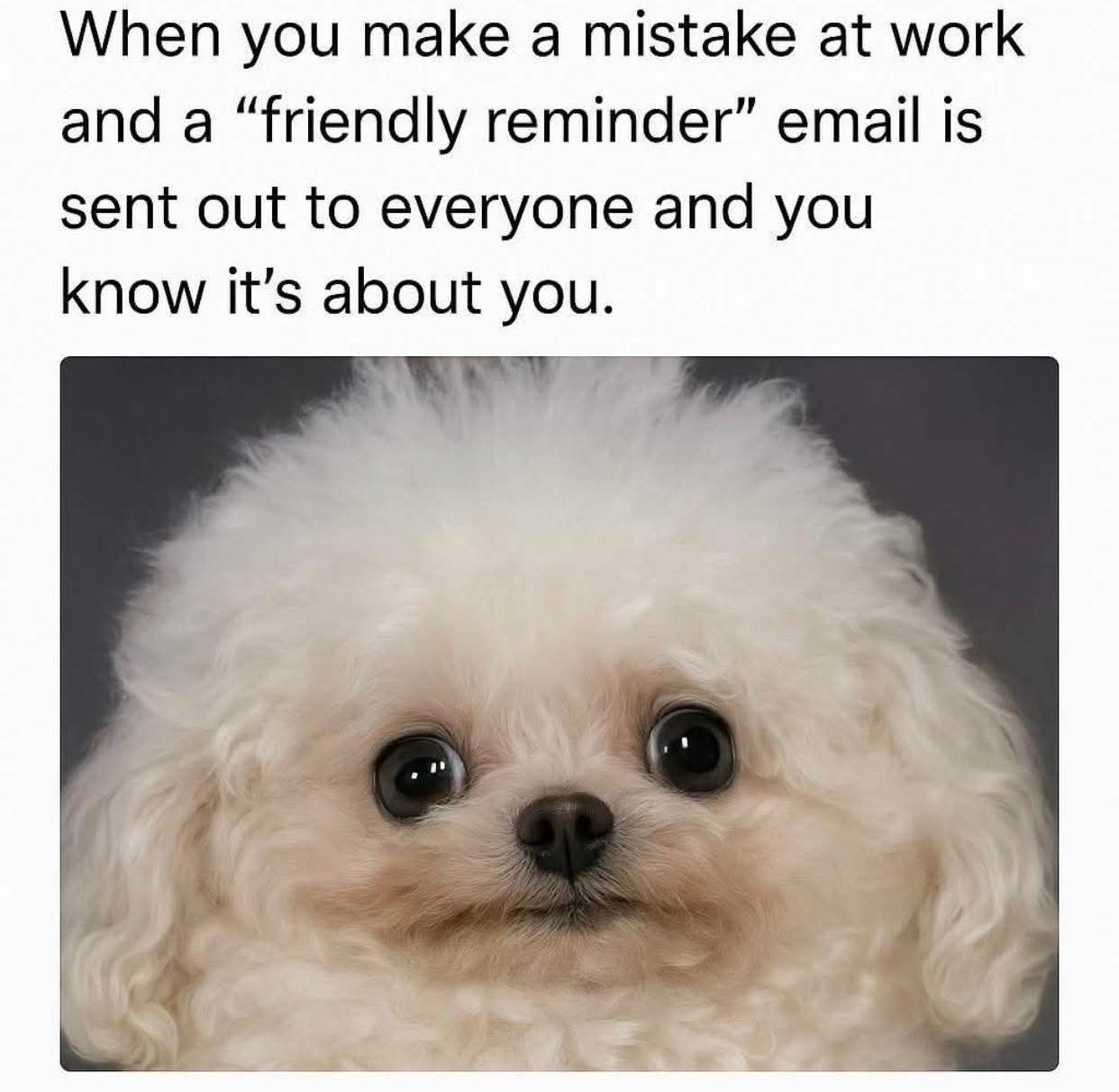 When you make a mistake