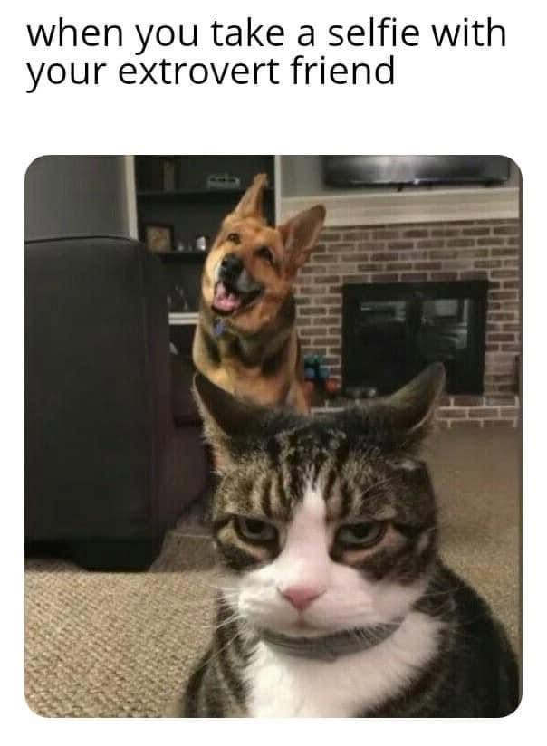 30 Memes That Show What Happens When An Extrovert Meets An Introvert 32 When you take a selfie
