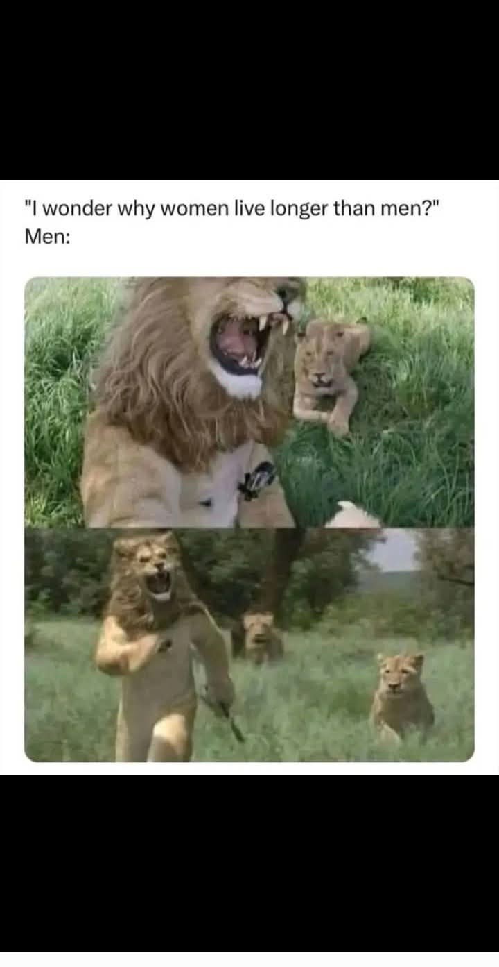 25 Memes That Are Too Funny to Handle, Too Random to Explain 27 Why women live longer
