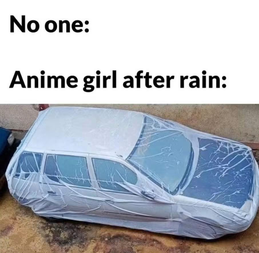 30 Memes Where Logic Checked Out and Laughter Checked In 25 anime after rain