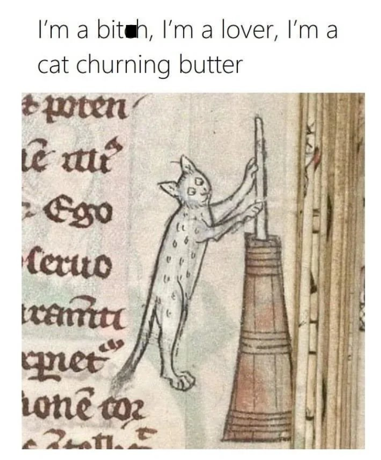 cat churning butter