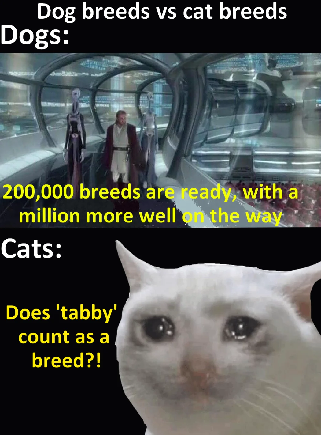 25 Dog vs Cat Memes That Will Make You Laugh & Pick a Side 25 dog breeds vs cat breeds