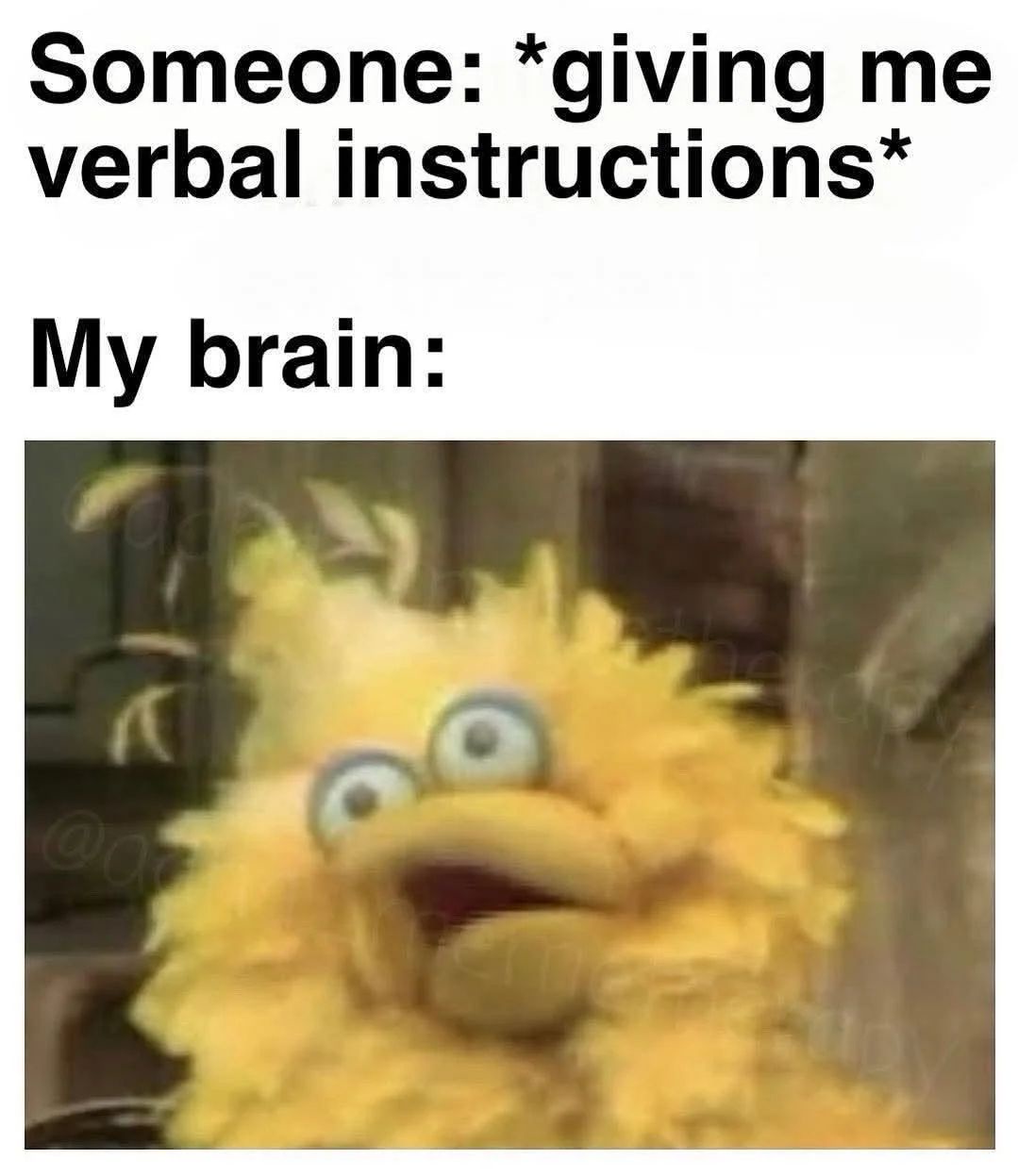25 Memes That Are Too Funny to Handle, Too Random to Explain 23 giving verbal instriuctions