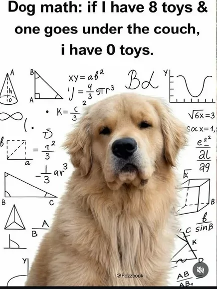 35 Math Memes That Will Add Laughter To Your Day 34 gog math