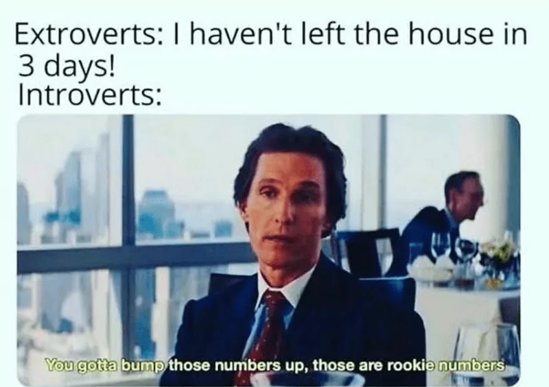 30 Memes That Show What Happens When An Extrovert Meets An Introvert 28 havent left the house