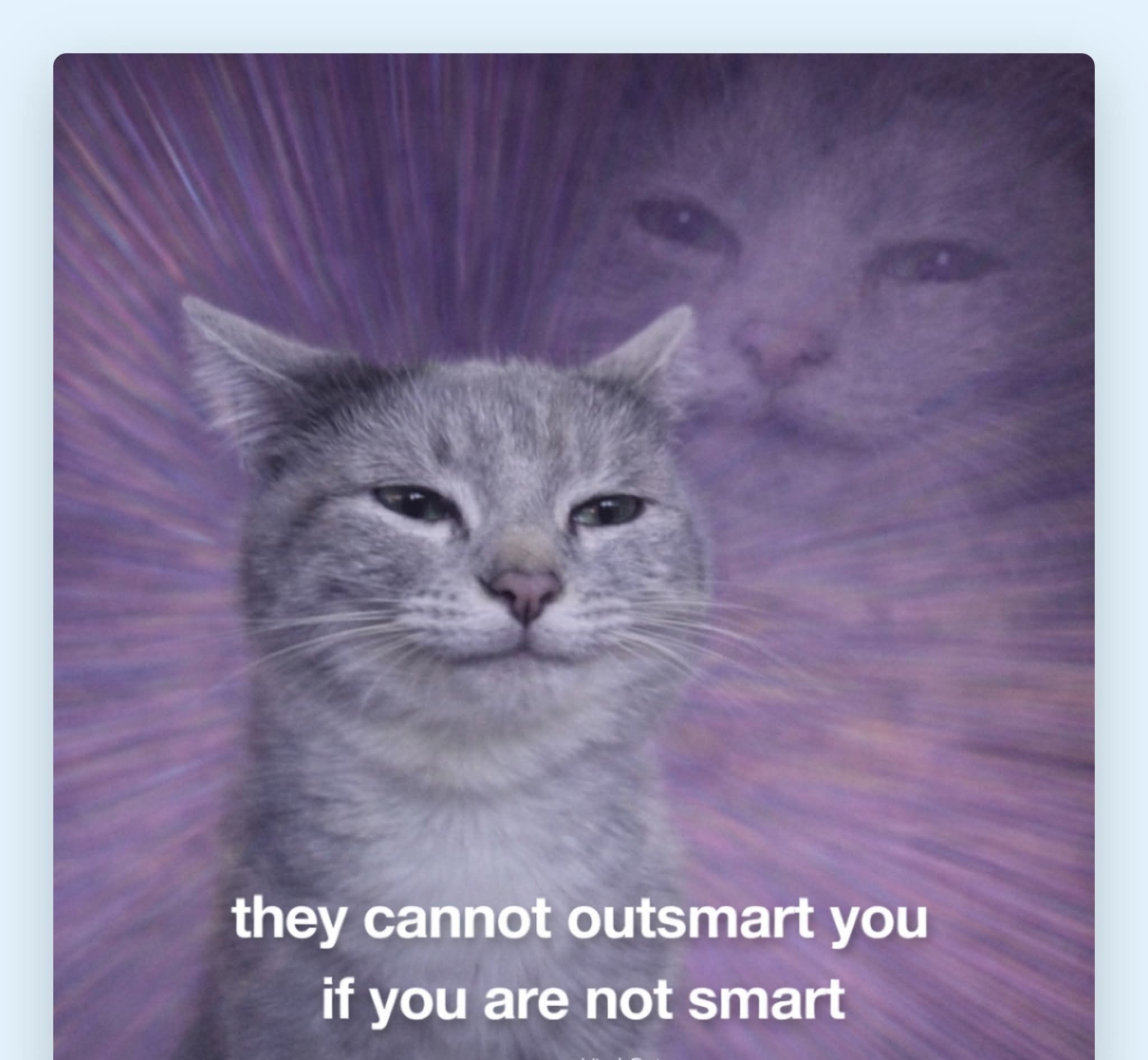 25 Memes Your Brain Will Try to Return but No Refunds Allowed 23 hye cannot outsmart you