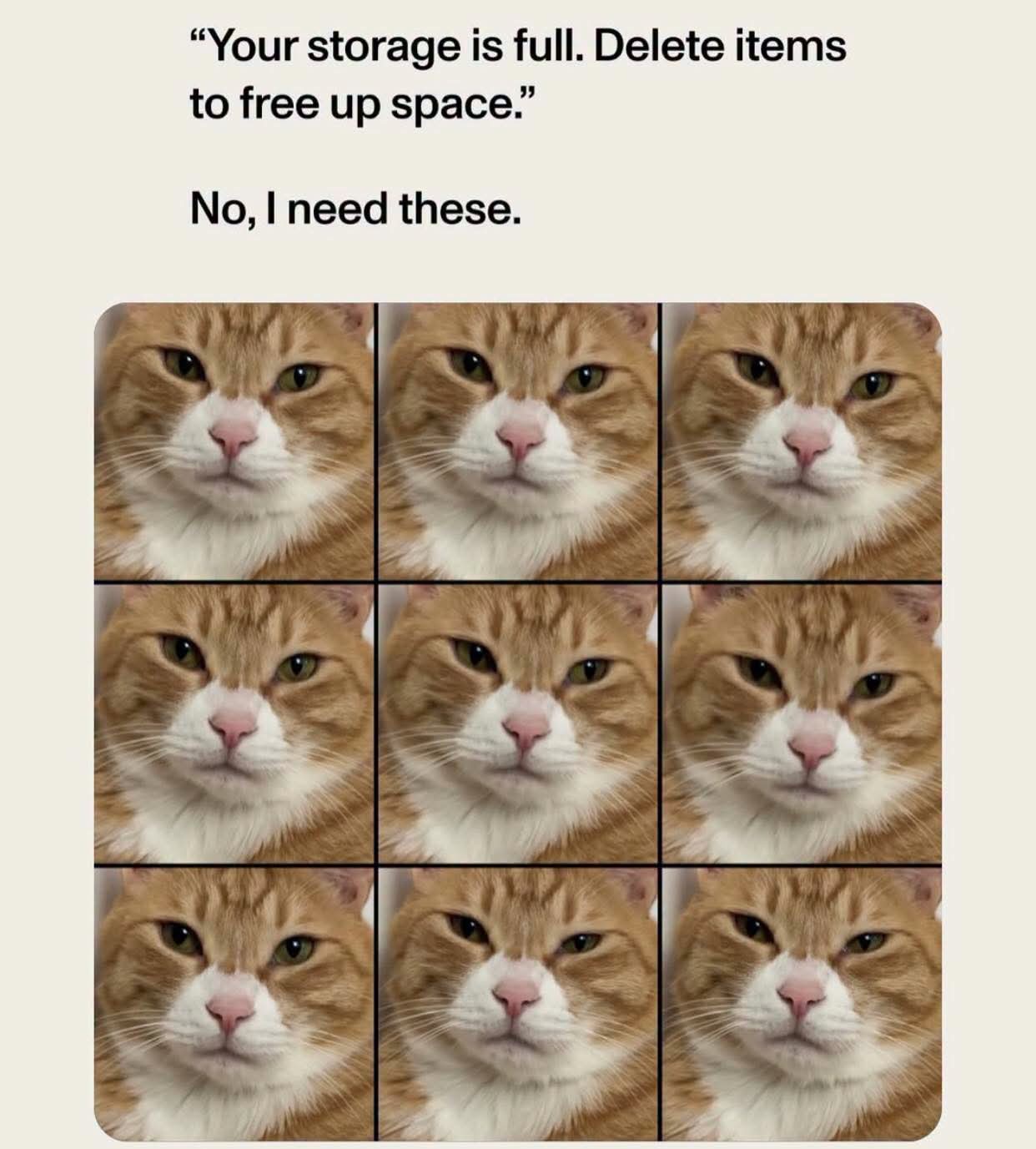 30 Memes Where Logic Checked Out and Laughter Checked In 28 i need these
