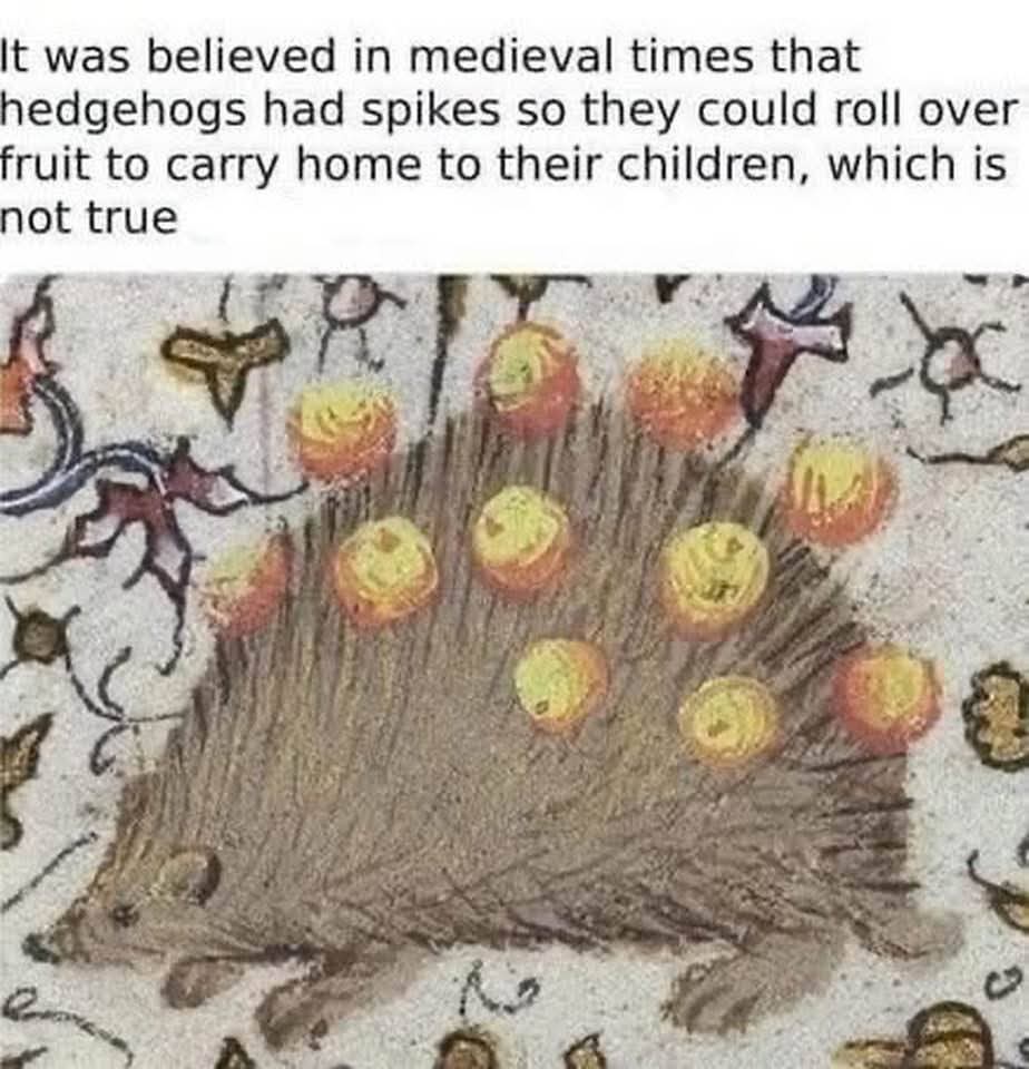 30 Memes Where Logic Checked Out and Laughter Checked In 29 it was believed