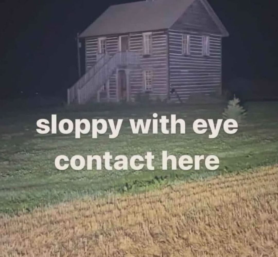 35 Naughty Memes That Make Eye Contact and Don’t Look Away 34 loppy with eye contact